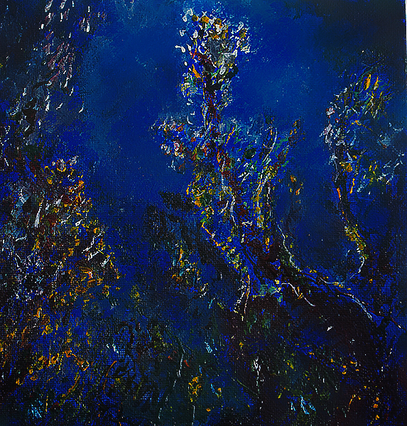 Artiste peintre Henri Vergès